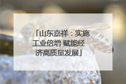 山东嘉祥：实施工业倍增 赋能经济高质量发展